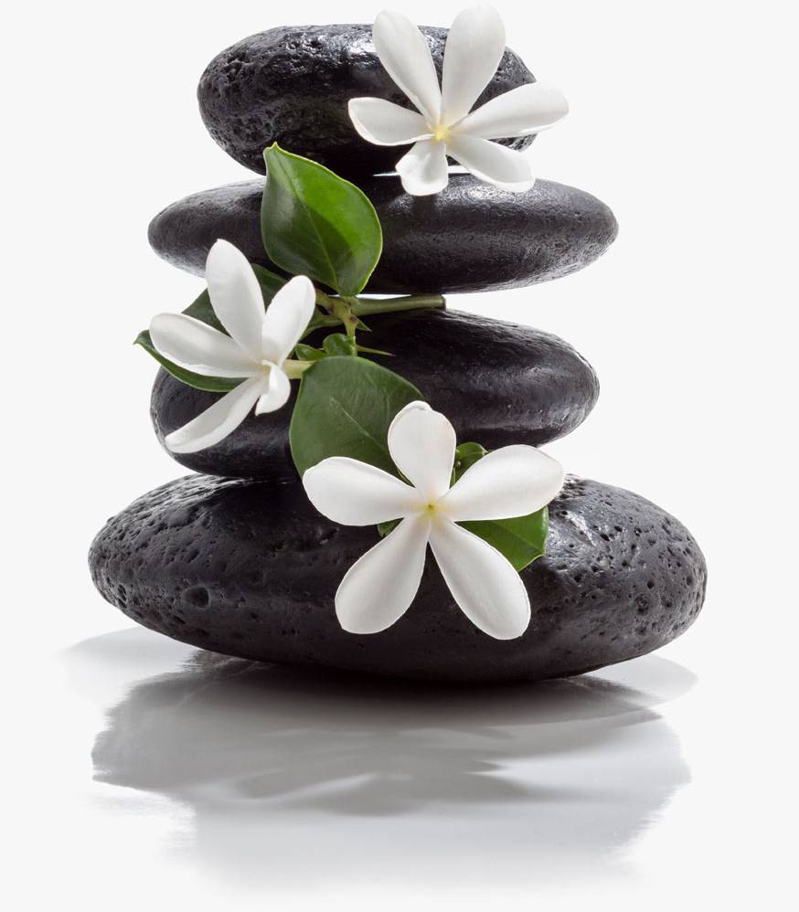 Aadya Ayurdhama,Ayurvedic Clinic and Therapy Centre,Best Ayurvedic clinic in bannerghatta road,best panchakarma therapy centre in bannerghatta road,Best Ayurvedic clinic and panchakarma therapy centre in bangalore,weight loss treatment in bannerghatta,back pain treatment in bannerghatta,knee joint pain treatment in bannerghatta, diabetes treatment in bannerghatta,best ayurvedic clinic in bangalore,best panchakarma therapy centre in bangalore,ayurvedic clinic,ayurvdeic centre,panchakarma therapy treatment,top 10 ayurvedic clinic in bangalore,india,aadya ayurdhama ayurvedic clinic.